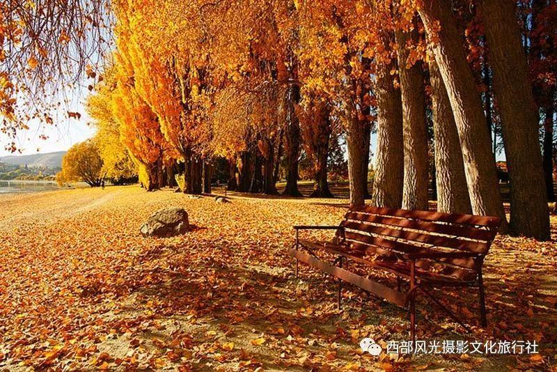 奇妙恐龙世界